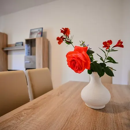 Apartments Bobo Zadar Exterior photo