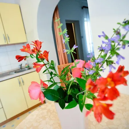 Apartments Bobo Zadar Exterior photo